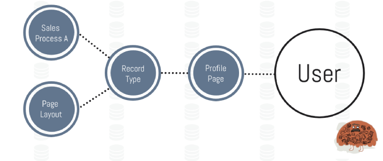 record type page layout assignment metadata